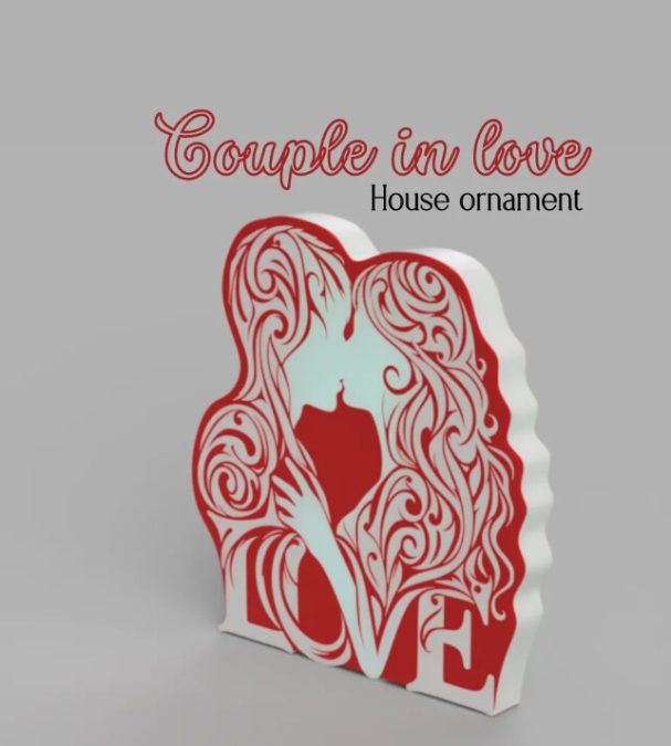 Couple in love house ornament