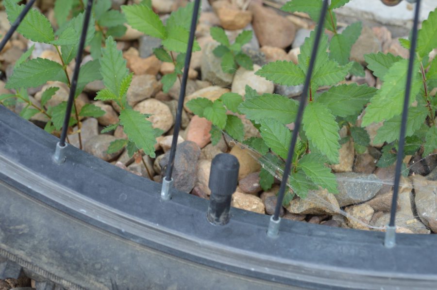 Easy to print valve stem cap