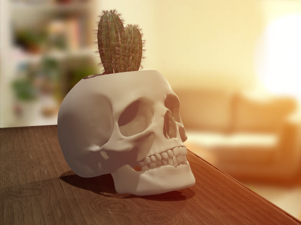 Realistic Skull Planter/Pen Holder