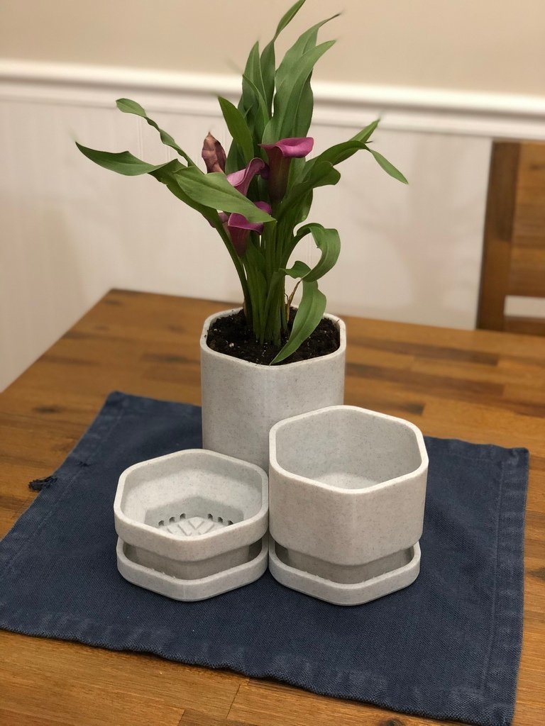 Hexagon Plant Pot Set