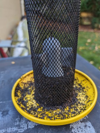 Nyjer Seed Feeder Insert