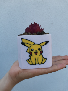 Little planter/storage decor with Pikachu
