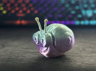 Cute snail