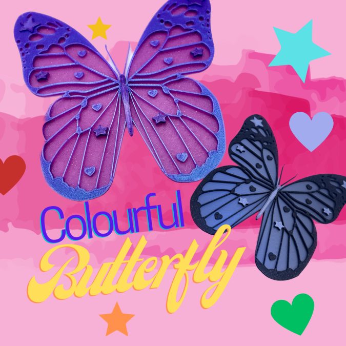 Colourful Butterfly