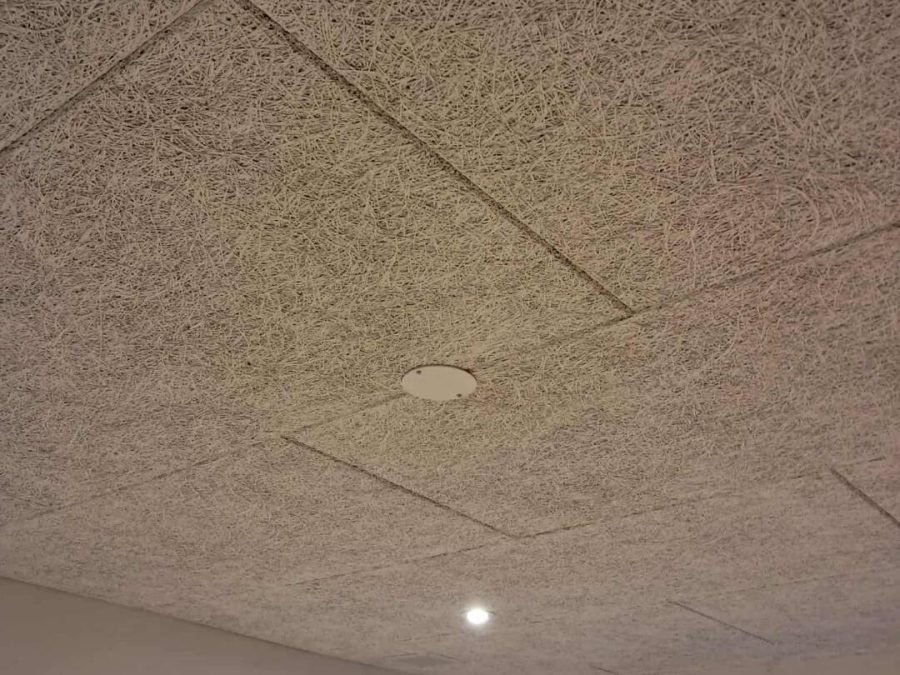 lamp socket cover