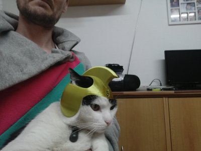 Helma pro kočku
