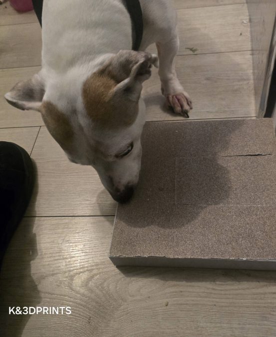 the pet manicure treat box
