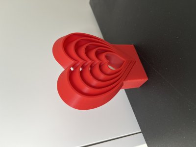 Holder for heart