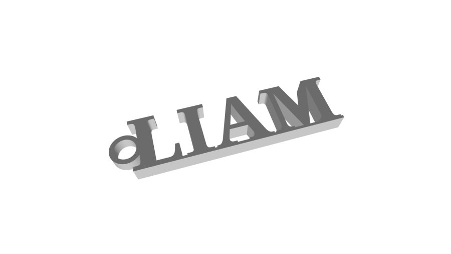 Liam Keychain