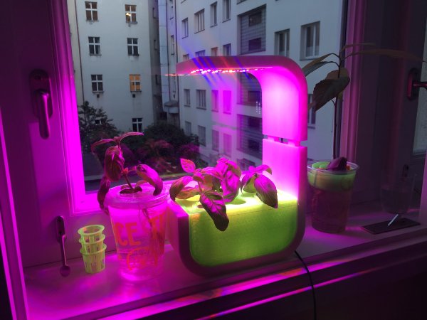 Propagation station/planter