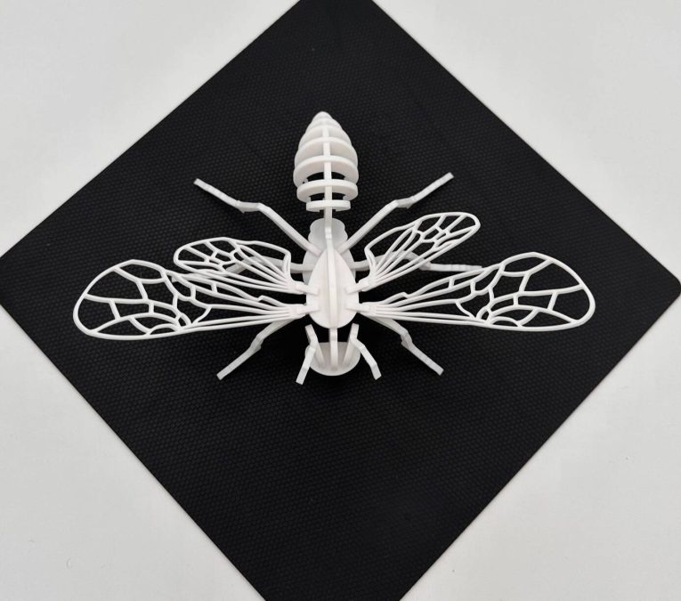 Hornet 2D Puzzle