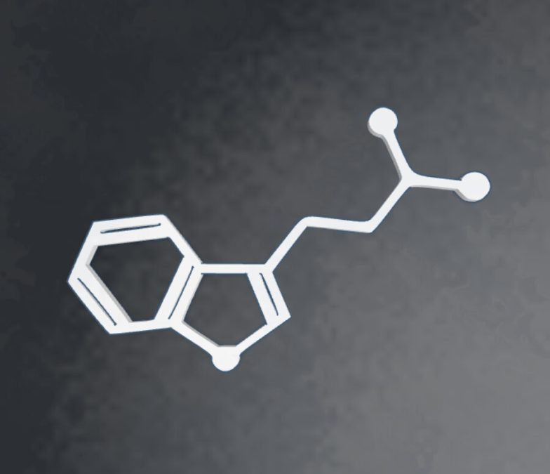 DMT Molecule Magnet