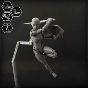 1/10 Scale Action Figure E.V.A 01