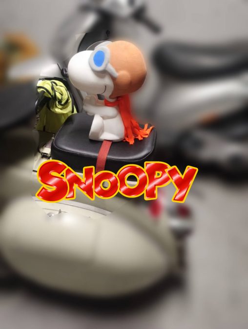 Snoopy Motorcycle decoration (or other)