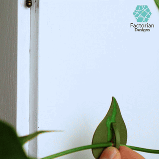 Plant Cable Clips & Ties "LeafLock" | Adjustable Cable Zip STL to 3D print | Leaf Wall Clips