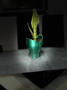 vase