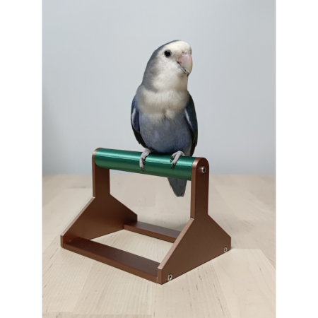 Bird stand for desk