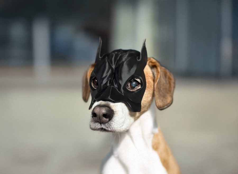 Batman Mask for Dog
