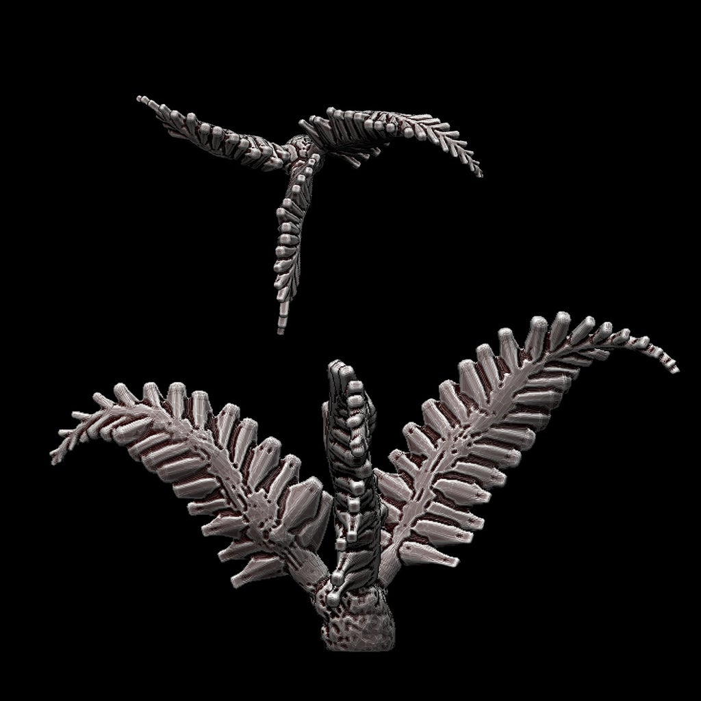 Plank Fern - tabletop miniature plants