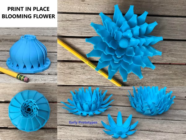 Print in place blooming flower