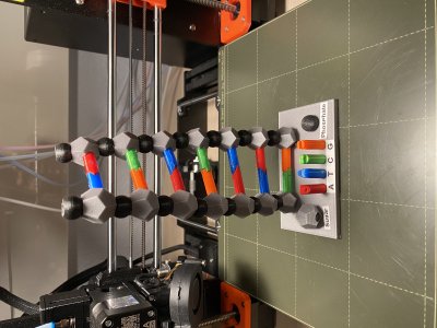 DNA Model