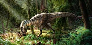 gorgosaurus
