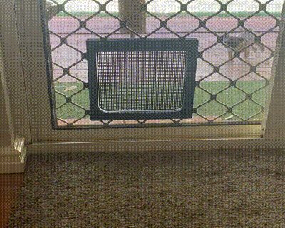 Doggie Door - For screen Doors