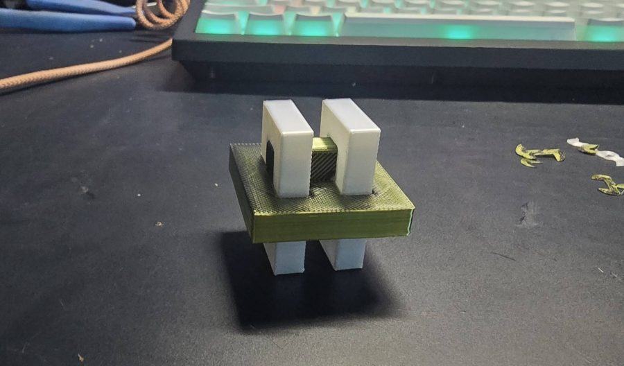 Castor puzzle