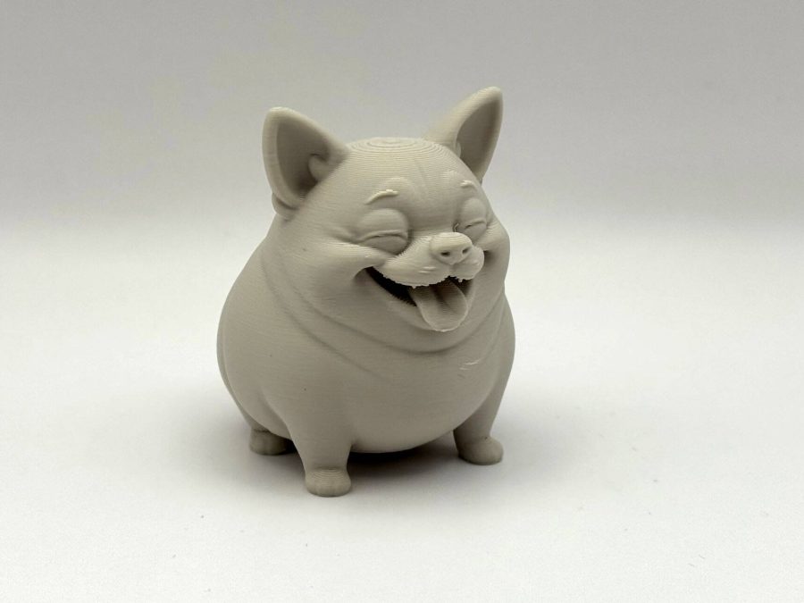 Chonk Chihuahua