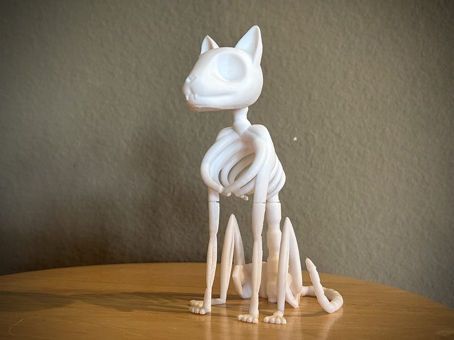 Stylized Cat Skeleton