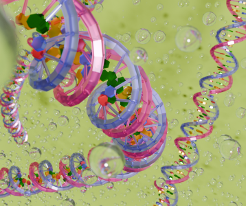 DNA Model