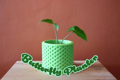 Butterfly Planter