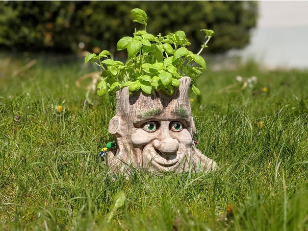Cartoon Style Tree Face Planter
