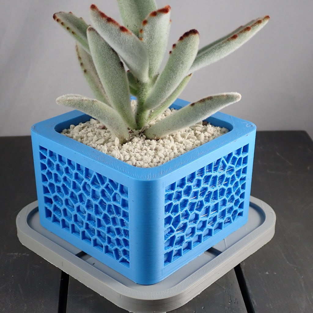 Voronoi Planter