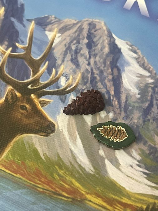 Cascadia pine cone