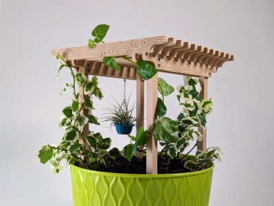 Potted Plant Pergola for Support & Shade