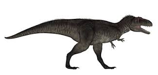 tyrannotitan