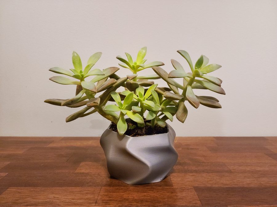 Twisted Succulent Pot
