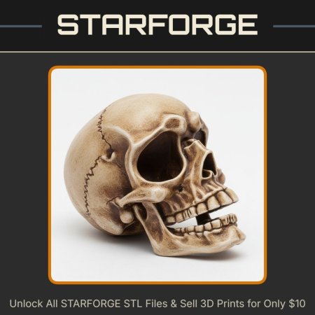 Realistic Human Skull Anatomical Model for Educational Display StarForge Kits 3D Print STL File