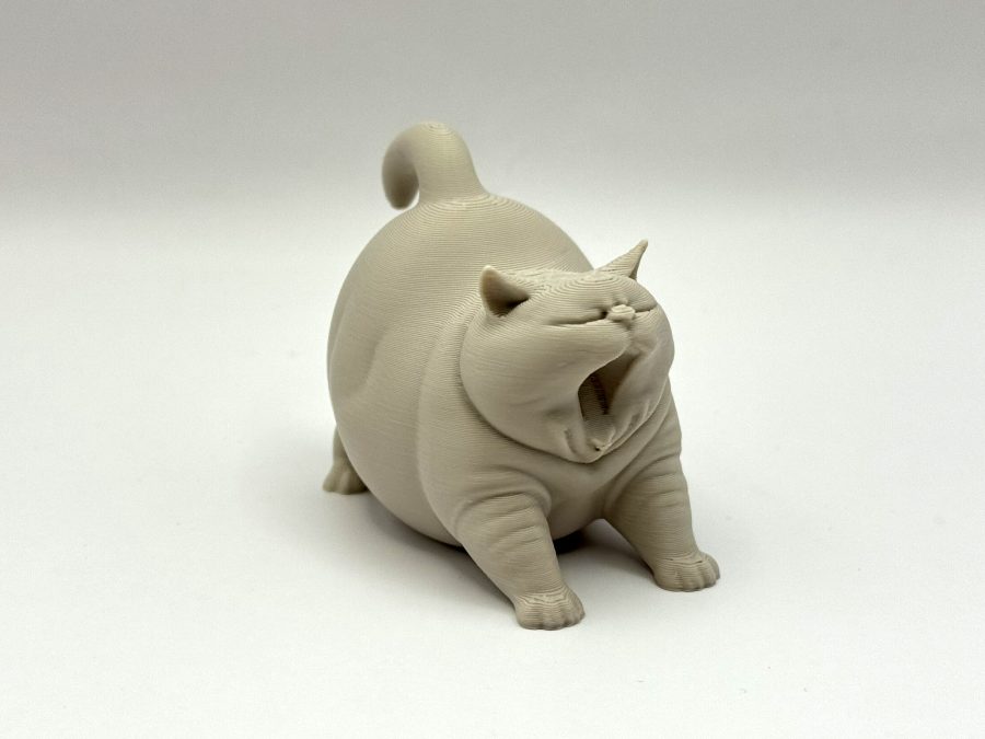 Yawning Chonk Cat
