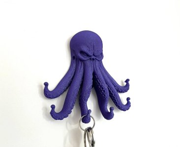 Kraken keychain organizer