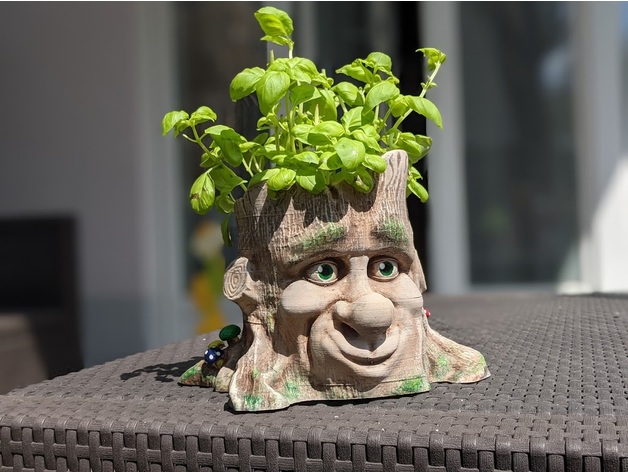 Tree Face Planter