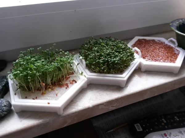 Cress seed sieve - Remix without supports