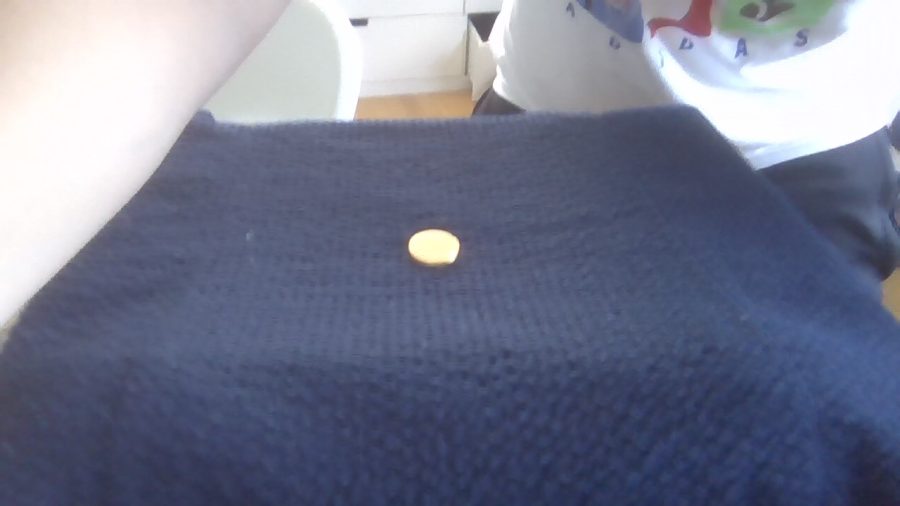 fake coin