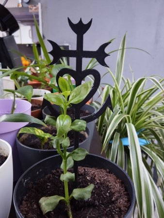 Tuteur croix de Camargue