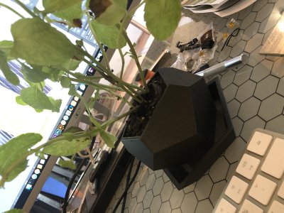 HEXA Flowerpot