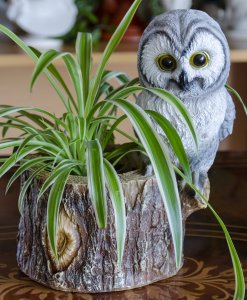 Owl planter