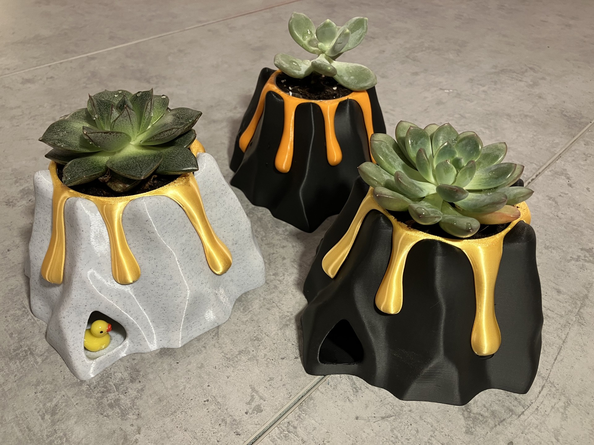 Volcano pot for succulents