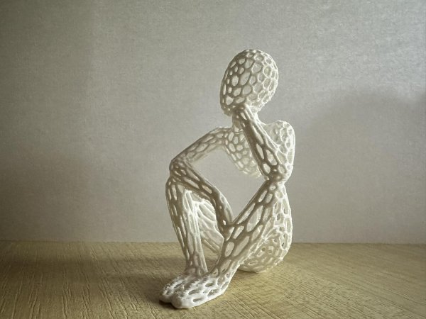 Voronoi Beyond Sight - Sculpture