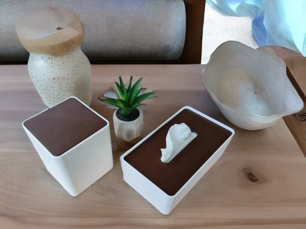 Stylish Tissue Storage + Bin